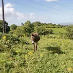 Nyaraló Belladrihid Ballysadare