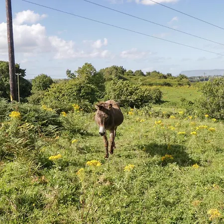 بيت للعطل Belladrihid Ballysadare