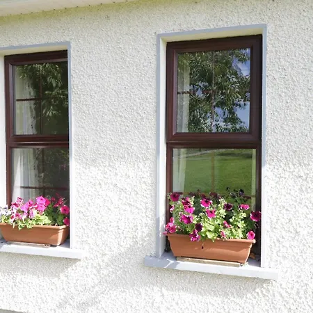 Belladrihid * Ballysadare