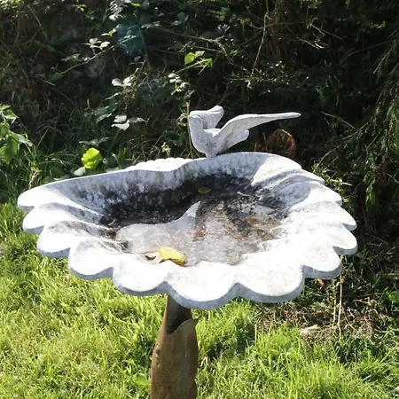 度假居 Belladrihid *