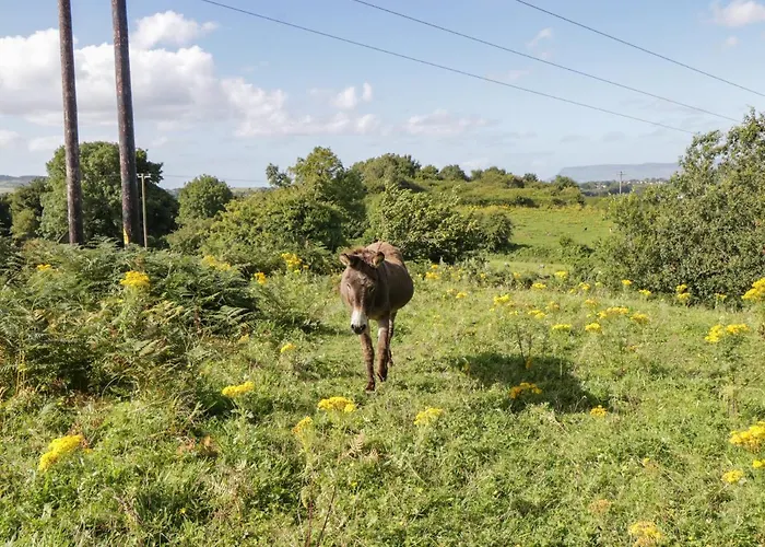 Hébergement de vacances Belladrihid Ballysadare