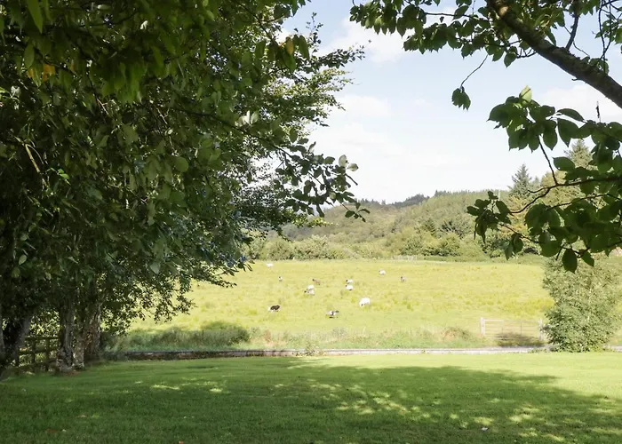 펜션 Belladrihid *