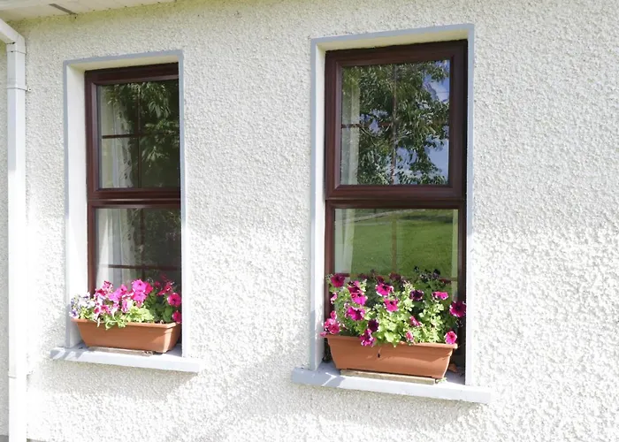 Belladrihid * Ballysadare