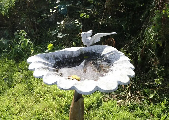 Hébergement de vacances Belladrihid *